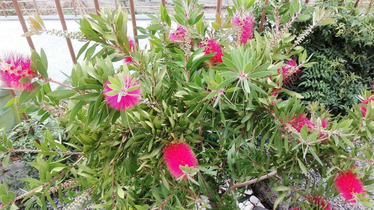 סנטה קרוז Vivenda Da Natureza מראה חיצוני תמונה